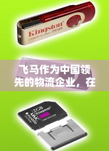 飞马作为中国领先的物流企业，在海外线路的发展策略涉及多个方面，包括市场拓展、合作模式、成本管理和风险控制等。以下是对飞马海外线路发展的详细分析